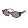 EVILACT SPIRAL pink havana / dark color photochromic smoke lens EAE26-22-11画像