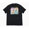 THE NORTH FACE LDH Present Style S/S Tee NT82644画像