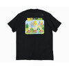 THE NORTH FACE LDH Old Style S/S Tee NT82635画像
