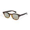 EVILACT ACE BR black x yellow havana / color photochromic green lens EAE26-17BR-09画像