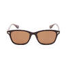 AVIREX EYEWEAR -AX-3005 7836270205画像