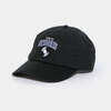 APPLEBUM &ldquo;TOKYO UNDGRND&rdquo; 5 Panel Cap 2620902画像