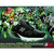 newbalance MR993 BG Black/Green Exclusive Green Lantern画像