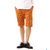 Mark McNairy CHINO SHORT giraffe画像