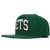 Mitchell & Ness NEW YORK JETS SNAPBACK GREEN LVMNNYJ046画像