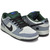 NIKE DUNK LOW PREMIUM SB ''CENTRAL PARK'' DOVE GREY / BLACK - GORGE GREEN 313170-021画像