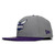 NEW ERA CHARLOTTE HORNETS SNAPBACK GREYxPURPLE FFNECRH002画像