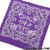 the POOL aoyama ONCE IN A LIFETIME OIALT REMAKE BANDANA PURPLExWHITE画像