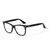 RADIALL FAIRLANE (BLACK&times;CLEAR)画像