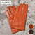 ALPO NAPPA H.S. CASH Nappa Cint Fondere Cashmere Glove画像