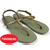 Havaianas FREEDOM ROSE GREEN画像