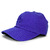 AMERICAN NEEDLE LOS ANGELES DODGERS TONAL BALLPARK STRAPBACK ROYALOUT CNFANLAD026画像