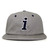 In4mation GEORGE 6-PANEL RELAXED CAP GREY IMT195画像