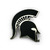 WINCRAFT MICHIGAN STATE SPARTANS PIN FF2269427画像