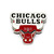 WINCRAFT CHICAGO BULLS PIN RED FF1783010画像