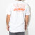 VANS Big Check S/S Tee VN0A3WD7画像