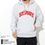 STUSSY Chenille Arch Applique Pullover Hoodie 118336画像