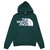 THE NORTH FACE STANDARD PULLOVER HOODY NIGHT GREEN画像