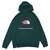 THE NORTH FACE RED BOX PULLOVER HOODY NIGHT GREEN画像