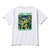 Kinetics ANT T-SHIRT WHITE KS21T03-WHT画像