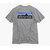 patagonia P-6 Logo Responsibili S/S Tee 38504画像