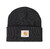 Carhartt WIP SHORT WATCH HAT I017326画像