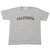 RHC Ron Herman &times; Champion T1011 Heavy Weight Tee LIGHT GRAY画像
