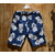 Cushman PINEAPPLE WABASH SHORT PANTS 22261画像