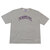 THE NORTH FACE PURPLE LABEL H/S Graphic Tee Z(MIX GRAY) NT3324N画像