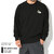 THE NORTH FACE 23FW Flower Logo Crew Sweat NT62335画像