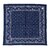 WAREHOUSE Lot 5227 SELVEDGE INDIGO BANDANA D柄(SQUARE)画像