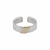 Garden of eden vermeil slash ring(L) 23AW007画像