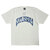 STUSSY ARCHED PIG.DYED TEE画像