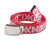 ANIMALIA Easy Belt - LOGO - AN25SU-AC03画像