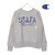 Champion REVERSE WEAVE CREW NECK SWEATSHIRT C3-C026画像