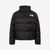 THE NORTH FACE Womens Short Nuptse Jacket NDW92555画像