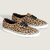 VANS AUTHENTIC LEOPARD TAN VN000EADJM9画像