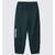 WILD THINGS TRAINING SWEAT PANTS WT26015SN画像