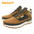 Timberland FIELD TREKKER LOW LACE SNEAKER MD Brown Nubuck W DK Brown A6DKN-A4G画像