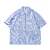 BEN DAVIS HICKORY Half Zip Shirts BDZ5-7000画像