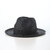 STETSON PAPER BRAID HAT SE855画像