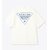 Columbia Despair Bay Graphic SS Tee PG8784画像