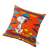 PENDLETON PEANUTS Cushion Cover Fire Legend画像