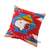 PENDLETON PEANUTS Cushion Cover Night Dance画像