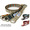 GEVAERT ベルギーWリングベルト カラーボーダー 1002画像