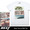 REEF Sum Trends S/S Tee RF14A-AML185画像