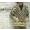 DENIM & SUPPLY Ralph Lauren ネイティブ柄 ショールカラー ニット ディガン画像