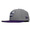NEW ERA CHARLOTTE HORNETS SNAPBACK GREYxPURPLE FFNECRH002画像