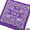 the POOL aoyama ONCE IN A LIFETIME OIALT REMAKE BANDANA PURPLExWHITE画像