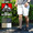 BEN DAVIS BEN'S SKATER SHORTS BDW-5513A画像